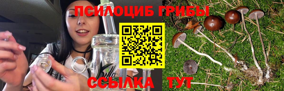 КОКАИН Лосино-Петровский