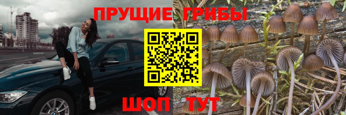 Псилоцибиновые грибы GOLDEN TEACHER Лосино-Петровский
