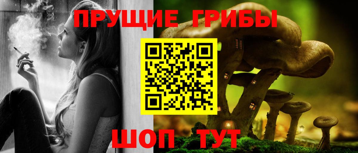Лосино-Петровский  Псилоцибиновые грибы Cubensis  Вход с VPN  Псилоцибиновые грибы мицелий 